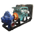 Diesel Engine Pump (XS300-435)